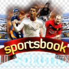 What is a Sportsbook?