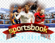 What is a Sportsbook?