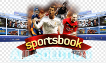 What is a Sportsbook?