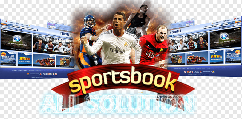 What is a Sportsbook?